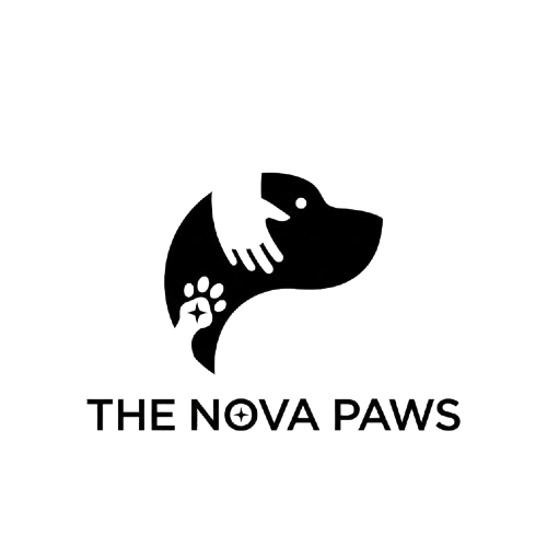 The Nova Paws
